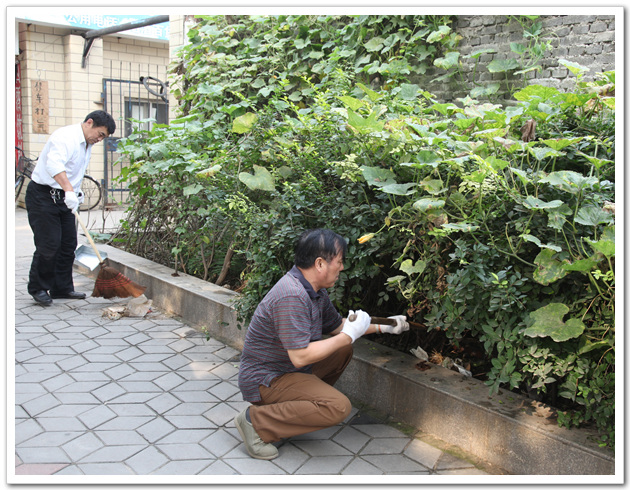 郑州市建设工程交易中心的同志认真清理花坛内的杂物垃圾