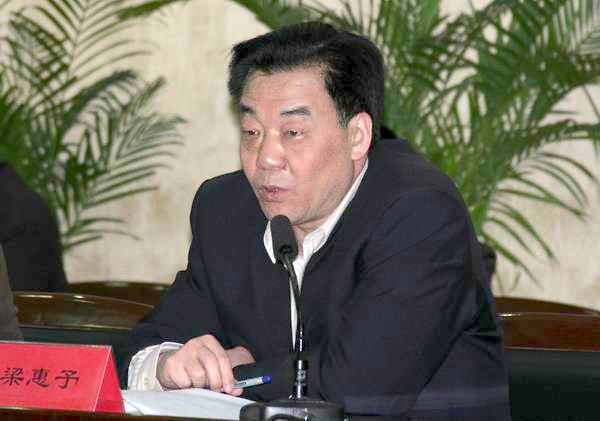 党委副书记、副主任梁惠予在会上讲话