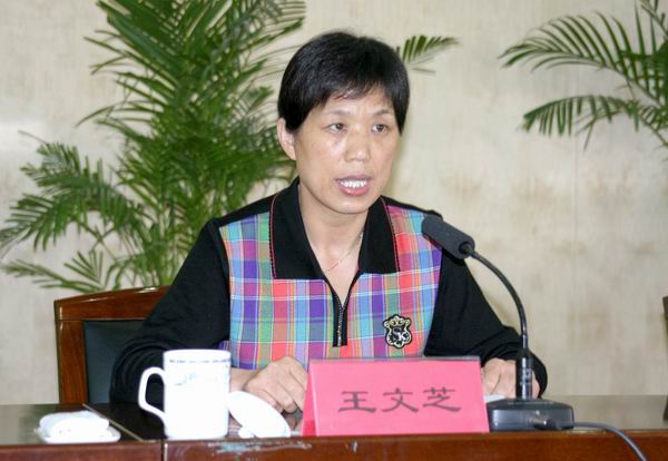 协会秘书长王文芝作协会2004年度工作报告