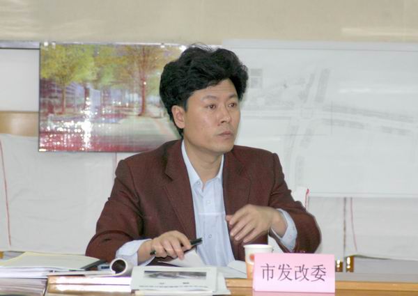 市发展和改革委员会总工程师杨东方在会议上讲话